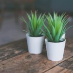 Kay Takei Official Site