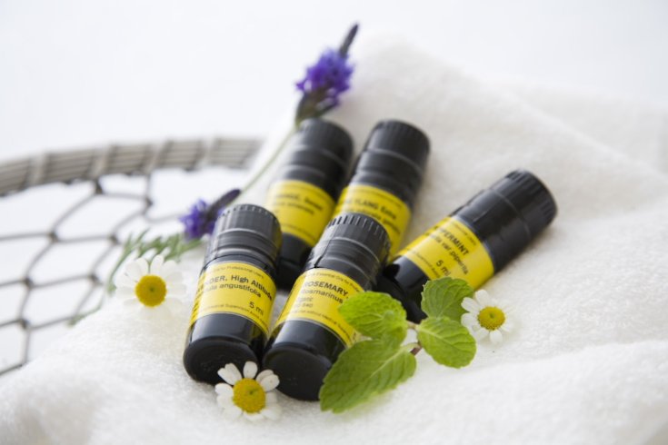 温泉ウェルネスプログラム導入